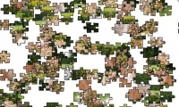 Jigsaw: Lioncat