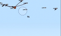 Swallows