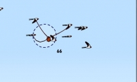 Swallows