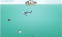 Fisher Sam