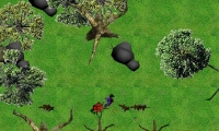 Beast Hunter