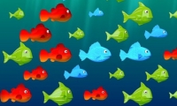 Feed the Fish