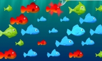 Feed the Fish