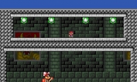 Mario The Mathematician