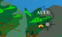Ducks