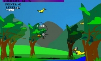 Ducks