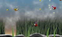 Velocity the Bee