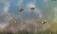 Velocity the Bee
