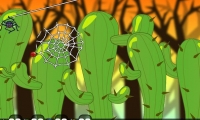 Spider Web