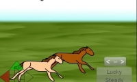 Enjoyable Horse Racing