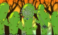 Spider Web