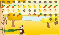 Squirrel - Mania