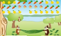 Squirrel - Mania