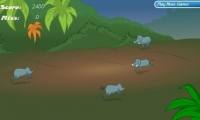 Wild Boar Hunter