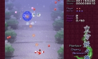 Perfect Cherry Blossom