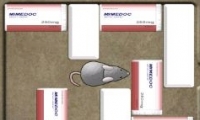 Mouse Trap