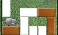 Mouse Trap