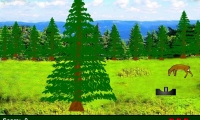 Supreme Deer Hunting