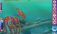 Ocean Kingdom
