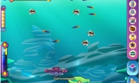 Ocean Kingdom
