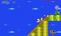 Tails Flight To The Future Zone 2