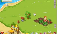 Wonder Island