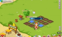 Wonder Island