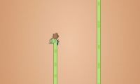 Snake (by J Robins)