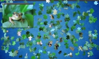 Jigsaw Puzzle Mix