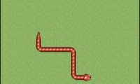CCSnake