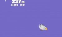 WHATS A STUPID PIGEON?