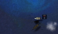 Treasure Cutlass Reef