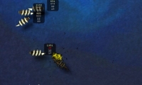 Treasure Cutlass Reef