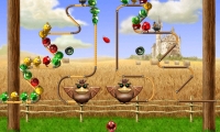 Crazy Birds