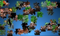 Jigsaw puzzle: fish