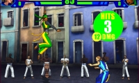 Capoeira Fighter 3