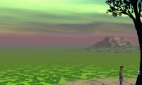Cosmos Quest I: To Find a Sun