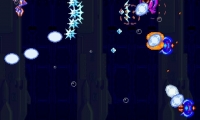 Shield Zone
