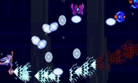 Shield Zone