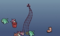 Jellyfish