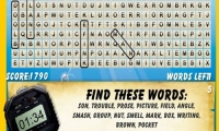 Word Search