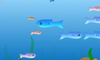 Fishy