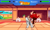 Super Fighter