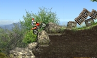 Spring Bike