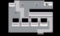 The Complex
