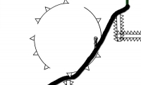 Draw Play