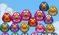 4 teh birds
