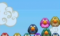 4 teh birds