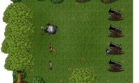 Forest encounter