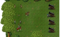 Forest encounter